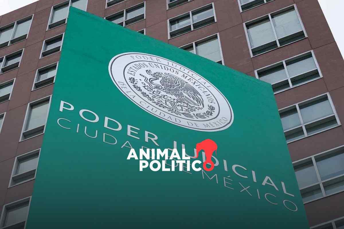 "Usan sistema para violentarme": mujeres enfrentan lentitud en juzgados familiares de CDMX